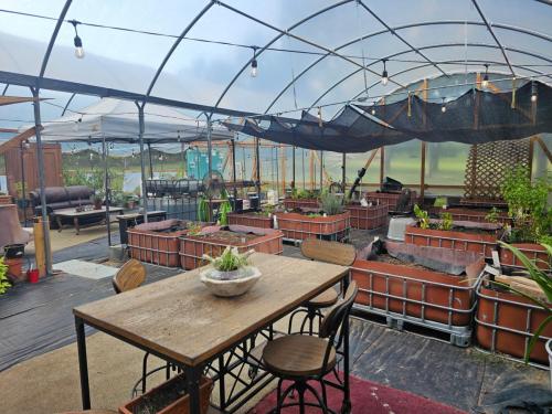 Organic Gardening